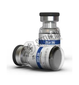 Deca 300 Dragon Pharma Deca 300 Dragon Pharma
