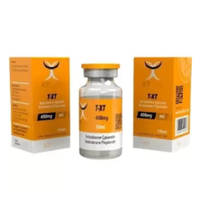 TXT 400 Xt Labs USA