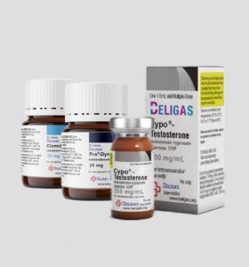 Testosterone Cypionate &amp; DBOL Cycle Beligas USA