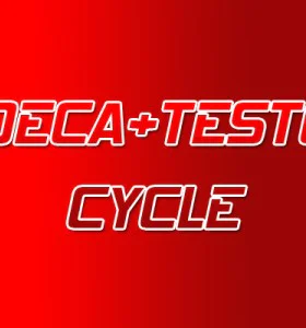 Deca - Testo  Steroid Cycle