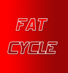 Fat Burner Steroid Cycle