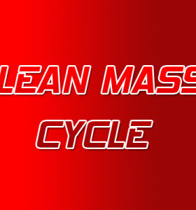 Lean Mass Steroid Cycle